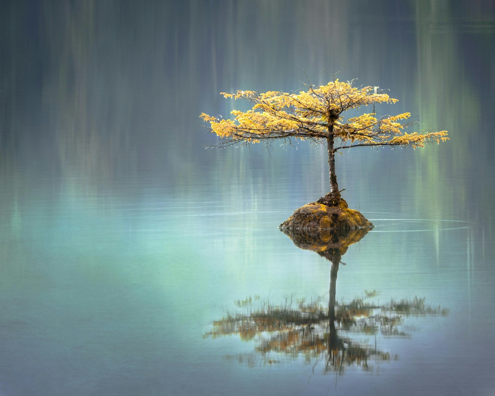 Person connecting with nature through grounding exercises, showing the therapeutic benefits of earth connection